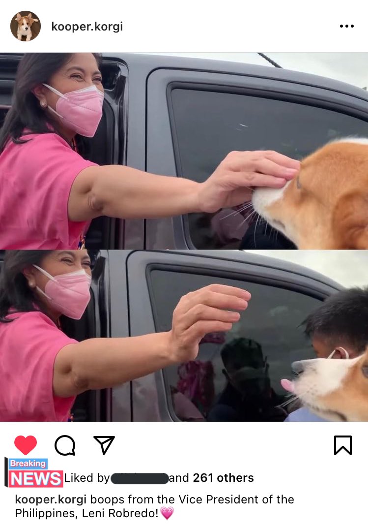 vaneillaxxx's tweet photo. LOOK AT THAT BOOP 😍 THIS GOTTA BE THE CUTEST THING I’VE SEEN 💗 

doggo approves good governance 💖 doggo approves husay at tibay 🌸 doggo says #DapatSiLeni https://t.co/3yXVlUCH4k