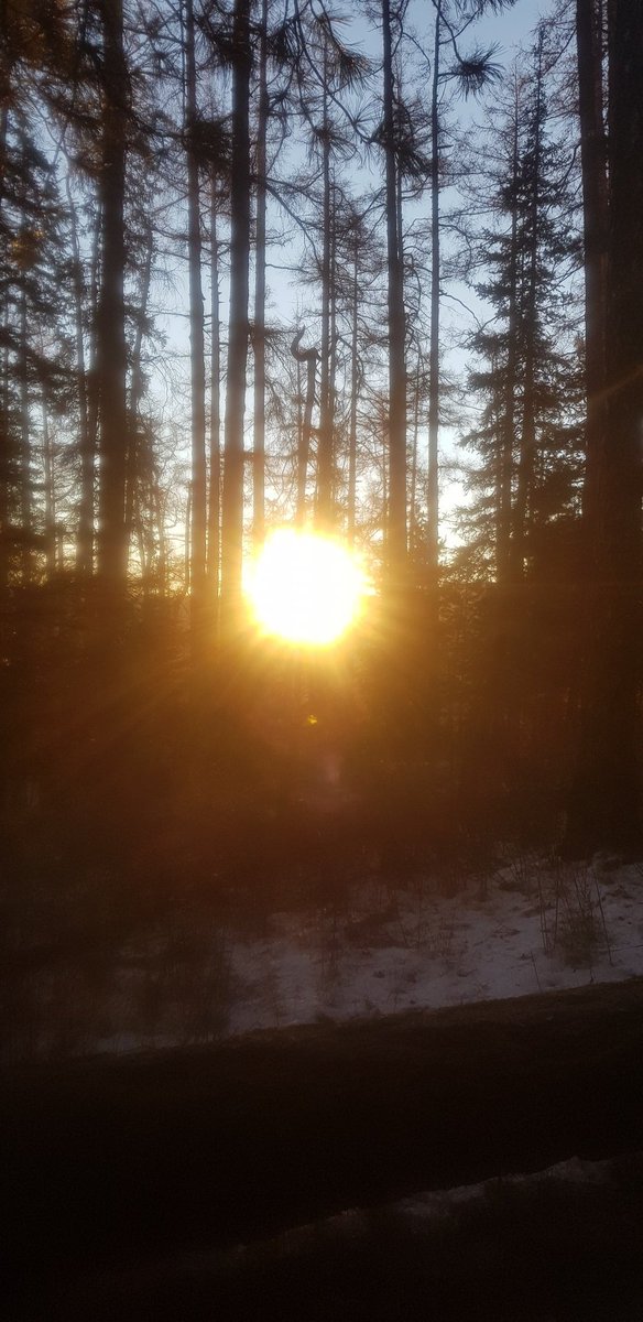 Өглөөний мэнд ууланд дулаахан байна шүү