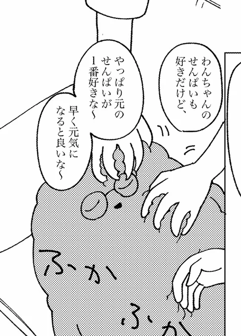 様々なメガネ 