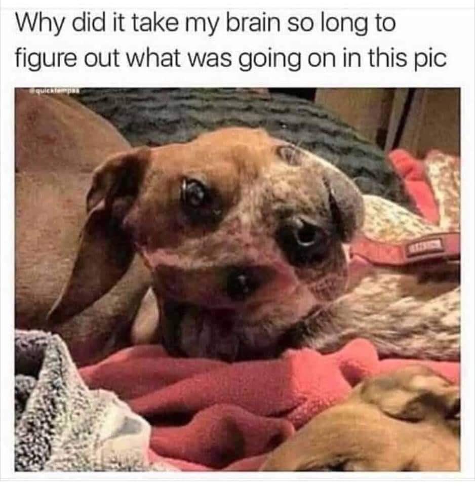 Brooke Lynn Hytes (@bhytes1) on Twitter photo 