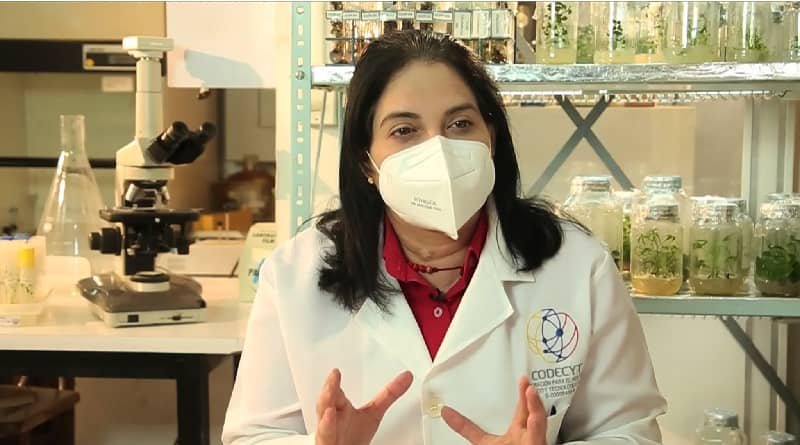 Ministra de Ciencia y Tecnología exhorta a la población a vacunarse para disminuir los contagios de la COVID-19

#06Nov 

vtv.gob.ve/ministra-cienc…