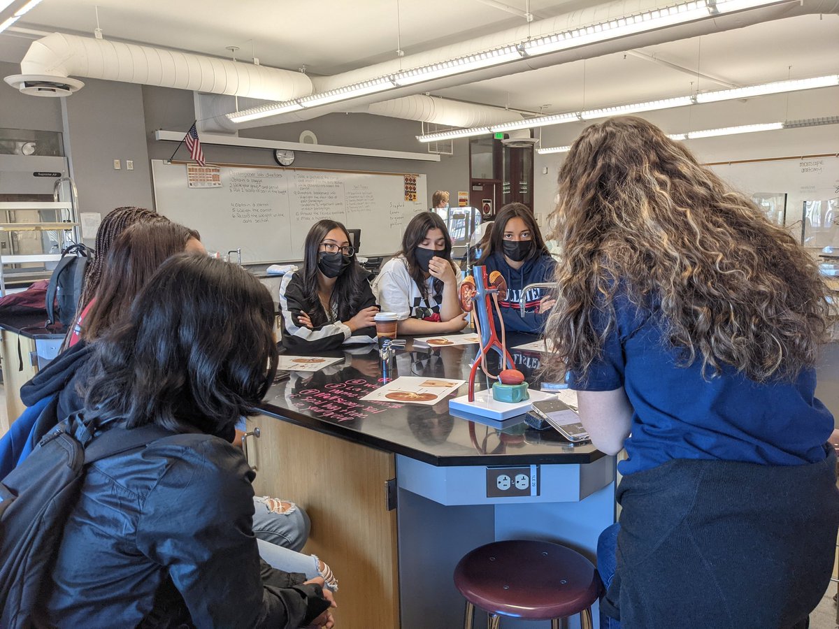 msgriffithCHS's tweet photo. Health Career Collaborative meeting today. Wr learned about kidney stones and radial fractures. Always a blast to work with them. @CHSJackets_ @CjusdCte @CUSMedicine https://t.co/JFHVAk7qzi