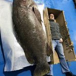 【驚き】人間より大きい!イギリスで上がった「213cm192kgのクエ」