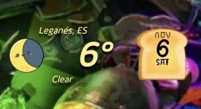 🐾 Iki 🐾 tweet media