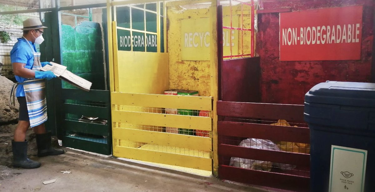 Club Paradise Palawan tweet media