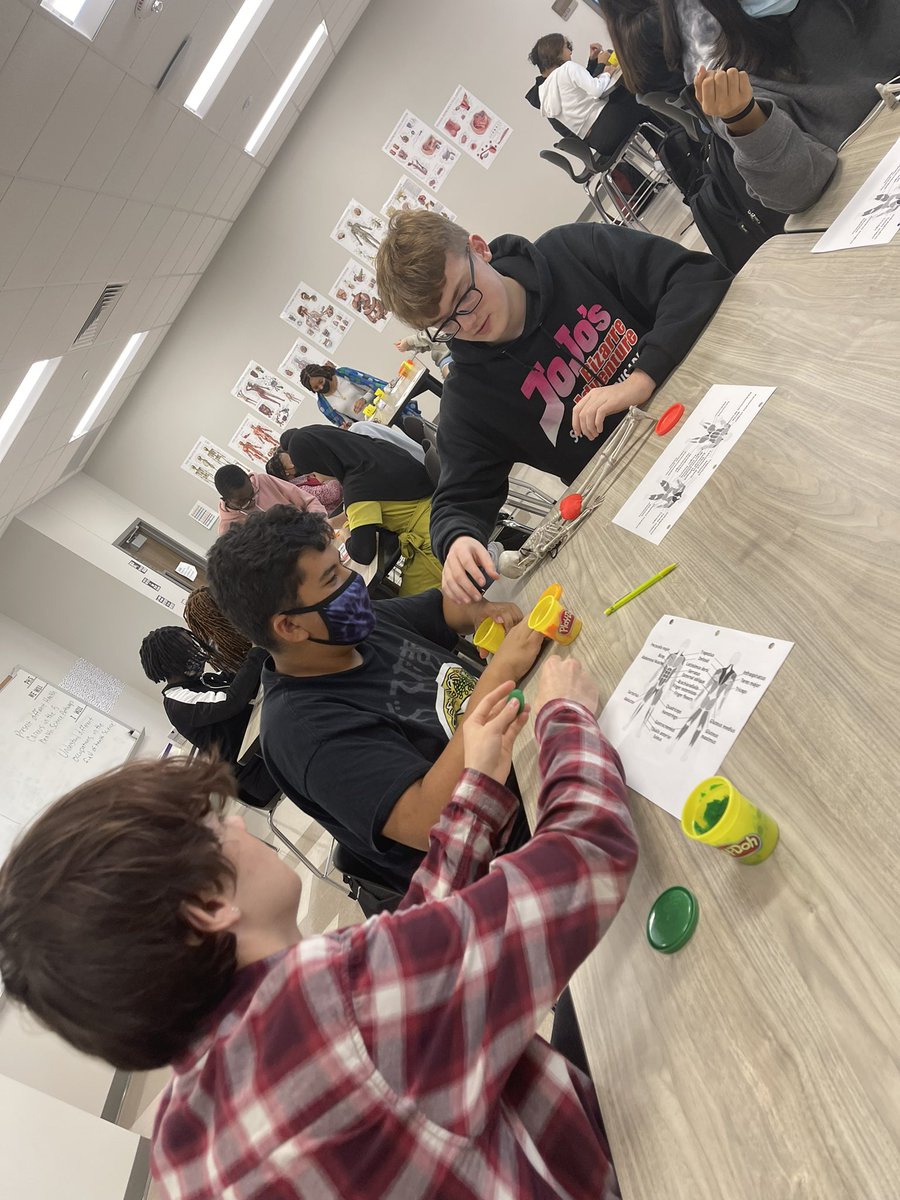 RandleHealthCTE's tweet photo. @RandleHS Medical Terminolgy students working together on Major Muscles of the body! @LamarCISDCTE @LamarCISD #RandleExcellence #LionPride 🖤🤍🦁 https://t.co/K5WdoL3I4N