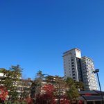 ツイートに含まれる画像