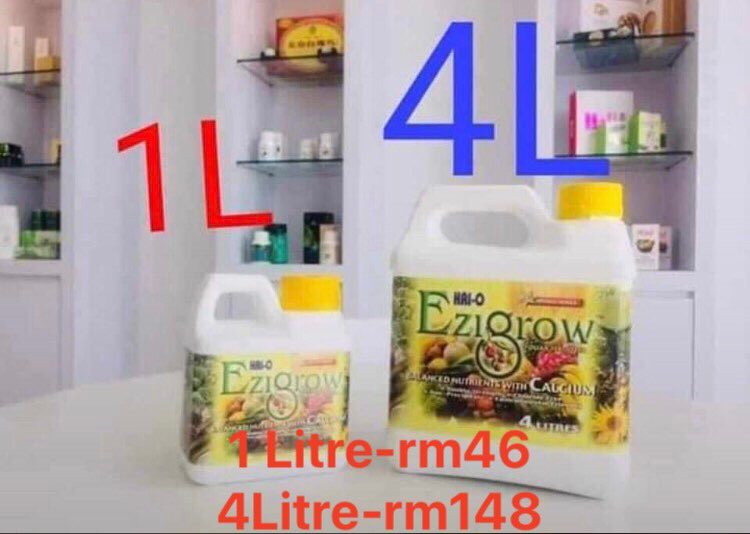 Azmi_Zahari_'s tweet photo. Sejak ber Ezigrow ni,,syukur sgt easy berkebun😍🌿🎉,,ada yg rimbun tak padan dgn kecik(sampai sedekah2 kt kwn),kualiti daun mcm plastik &amp; Yg penting ,,x kotorkan tgn!sembur sekali seminggu je &amp; tadaaaa!😍🎉🌿🎉
https://t.co/t3EL80EGfR #bajapokok #ezigrow #untuksemuatanaman https://t.co/4oJbUS9CVw