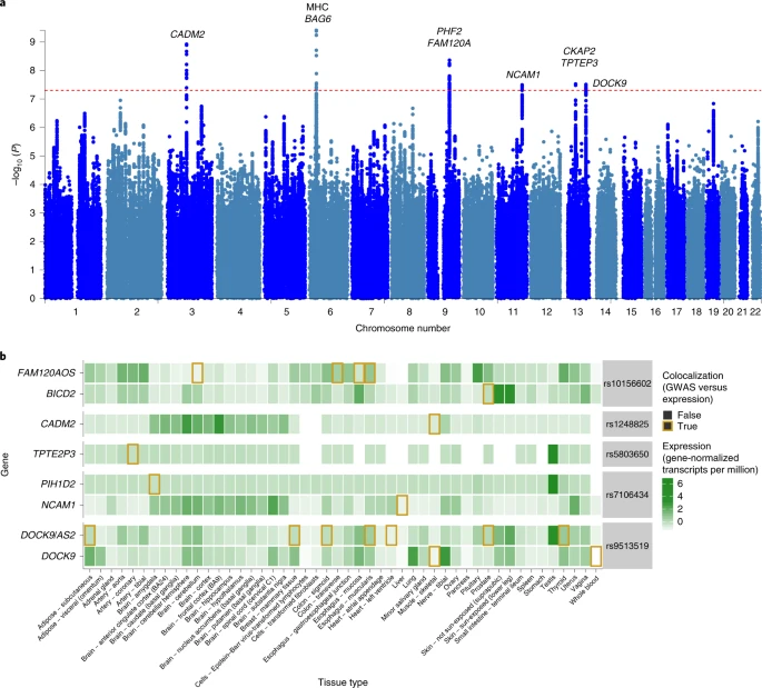 GWAS  of 53,400 #IBS patients: 

🧬6 implicated genes included NCAM1, CADM2, PHF2/FAM120A, DOCK9, CKAP2/TPTE2P3 and BAG6. 
😰Associated with #mood and 
#anxiety disorders.
IBS SNP heritability was just 5.8%. 
🦠Environmental factors play a major role.

nature.com/articles/s4158…