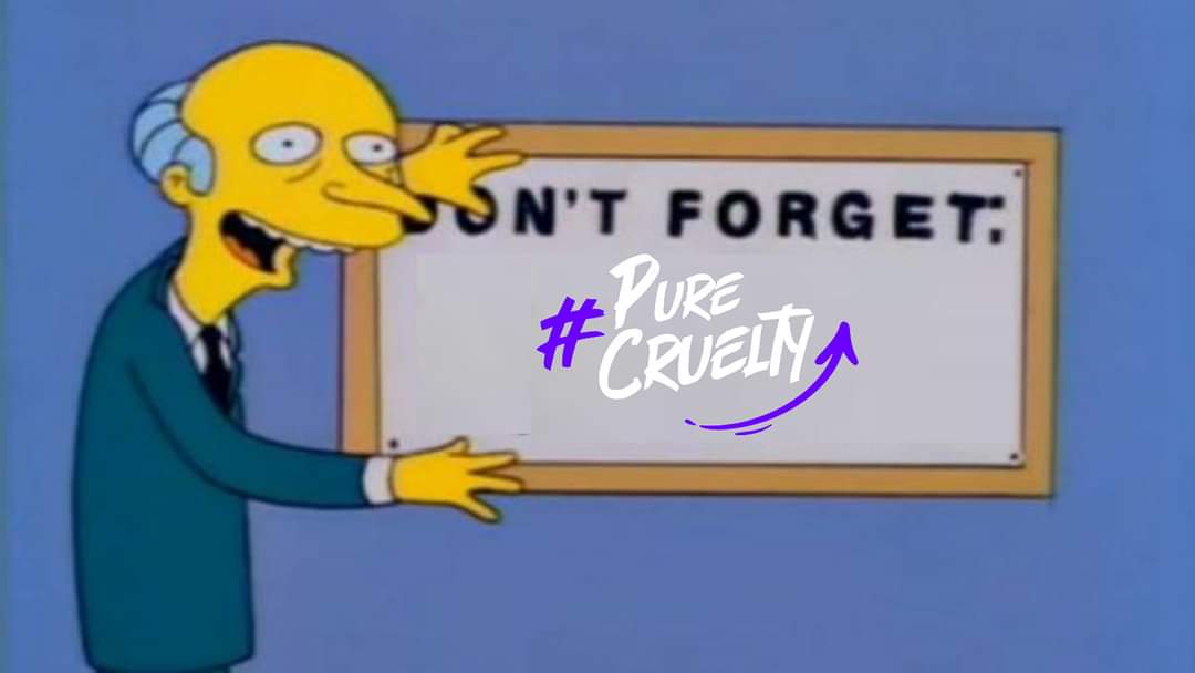 eTeamCruelty's tweet photo. No lo olvides, #PureCruelty. ✡️💜 https://t.co/xeTUQJaBCz
