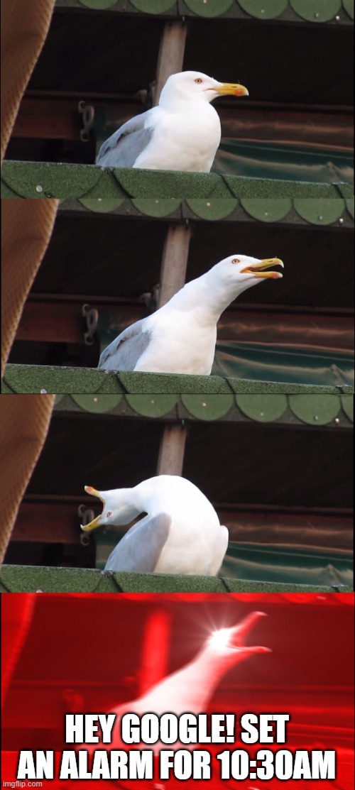 LockeBronte's tweet photo. #BCM206 Week 11 Remediation: 
Me: not wanting the IoT to listen to my private conversations..... also me: https://t.co/woN48S4UgV