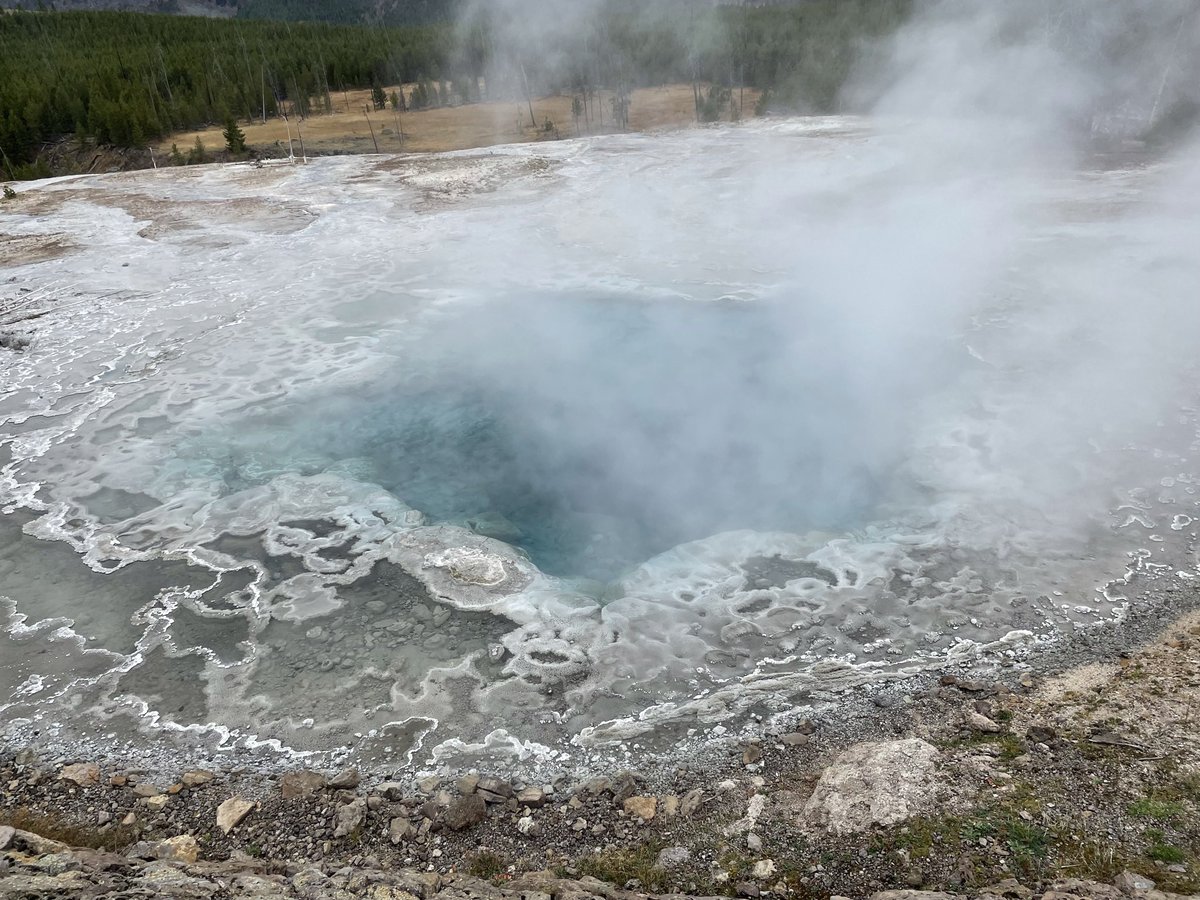 Being an ecologist means that you spend several hours thinking about what species of Artemisia this pool was named after.