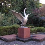 ツイートに含まれる画像