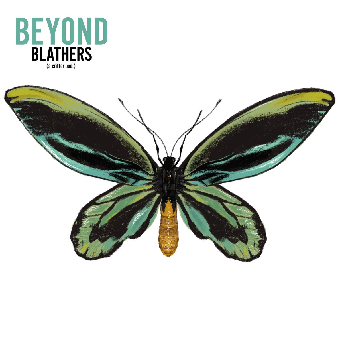 Beyond Blathers (@beyondblathers) on Twitter photo Happy update day! We're celebrating with our new episode on the hugest butterfly of them all, the Queen Alexandra's Birdwing! Make sure to tune in while you play โจ๐ฆ beyondblathers.buzzsprout.com/1179344/949568โฆ
#AnimalCrossing #AnimalCrossingNewHorizions #AnimalCrossingupdate #scicomm #science Happy update day! We're celebrating with our new episode on the hugest butterfly of them all, the Queen Alexandra's Birdwing! Make sure to tune in while you play โจ๐ฆ beyondblathers.buzzsprout.com/1179344/949568โฆ
#AnimalCrossing #AnimalCrossingNewHorizions #AnimalCrossingupdate #scicomm #science