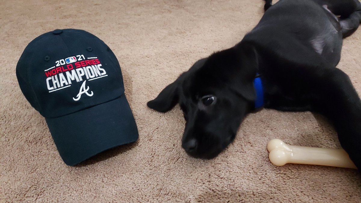 Blake Silvers tweet media