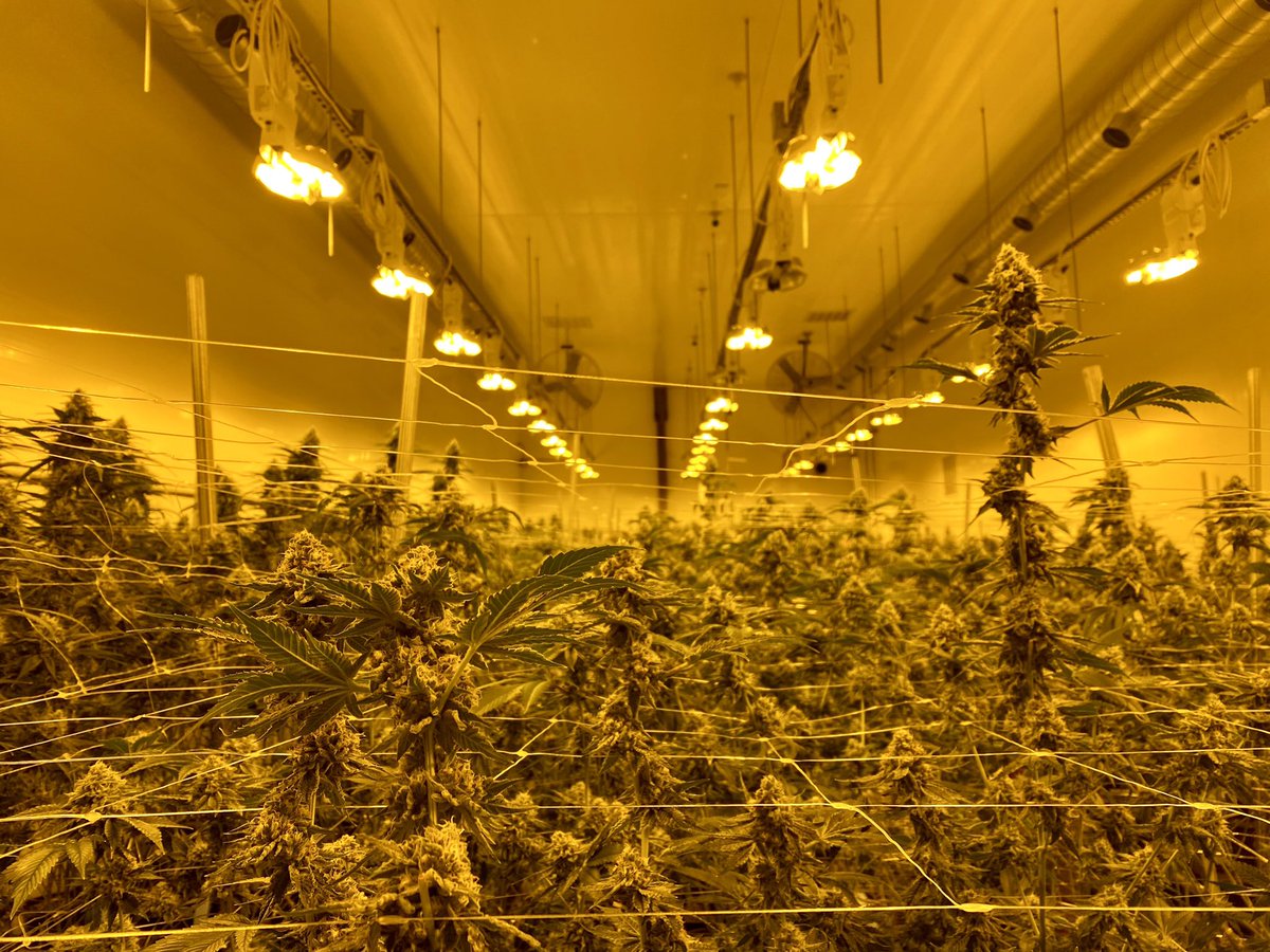 Colin Landforce 🛠 tweet media