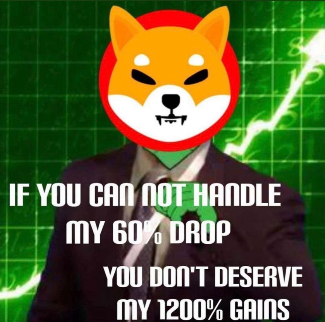 ShibaFlo's tweet photo. #SHIB #SHIBARMY #shiba #shibainu #ShibaCoin #ShibaSwap #Crypto https://t.co/gcxg6J668G