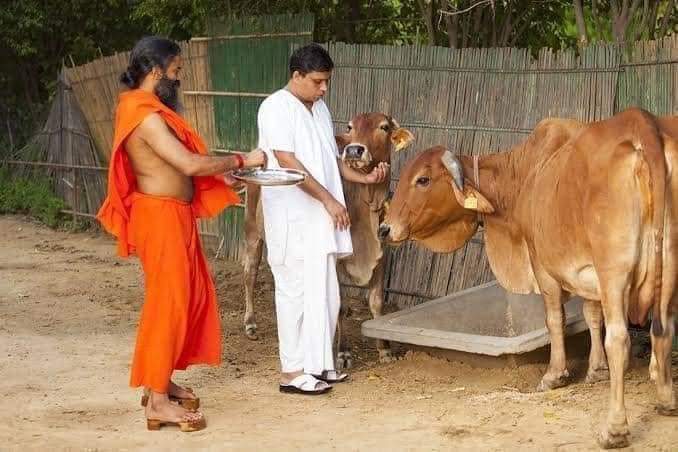 rakesh_bstpyp's tweet photo. आज की सबसे सुंदर तस्वीर 🚩 https://t.co/62Bqe9Ik6Y