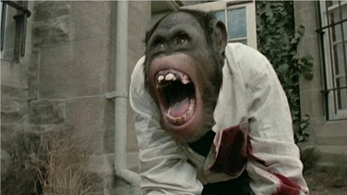 チンパンジーのtwitterイラスト検索結果 古い順