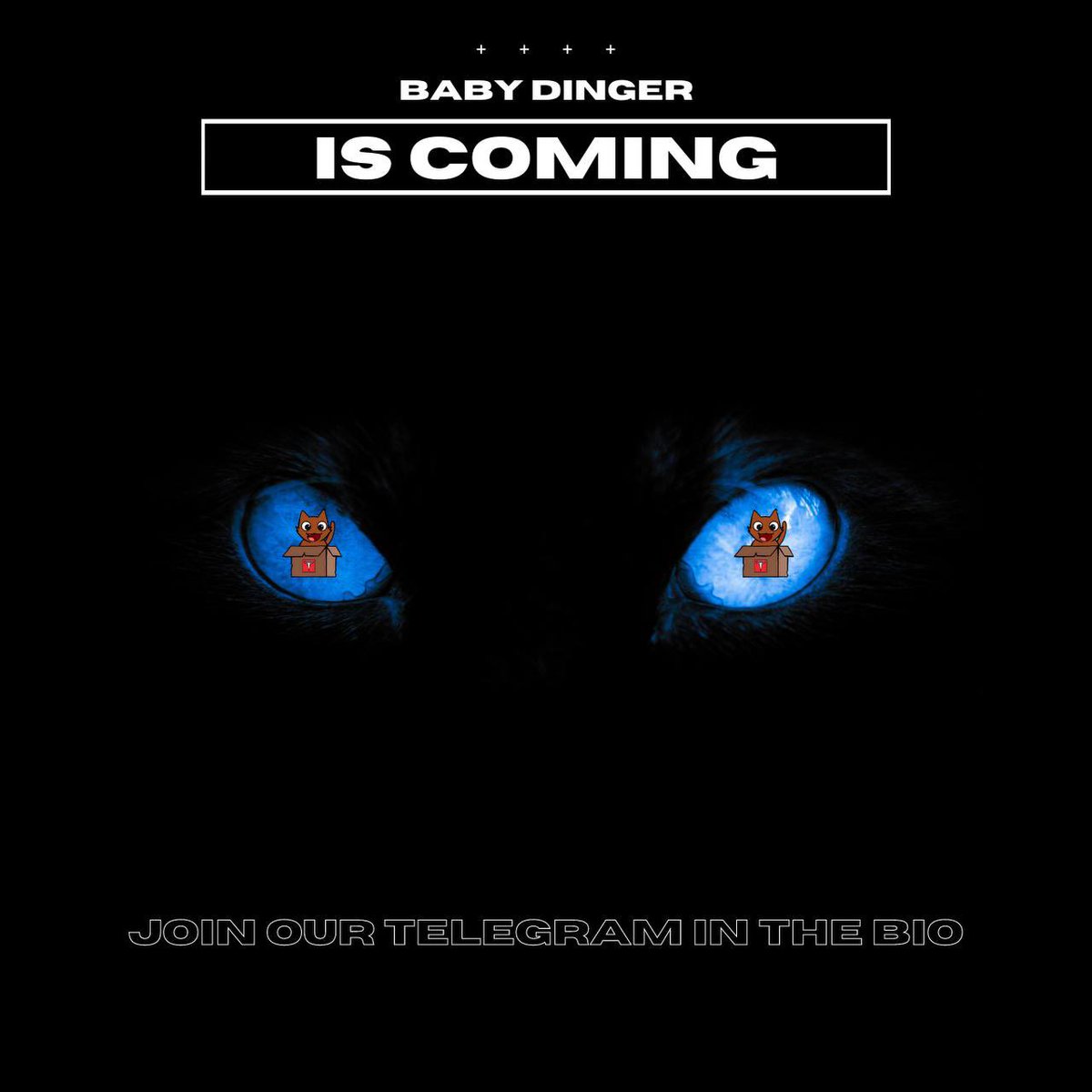 We are coming soon to a telegram near you.  #babydinger