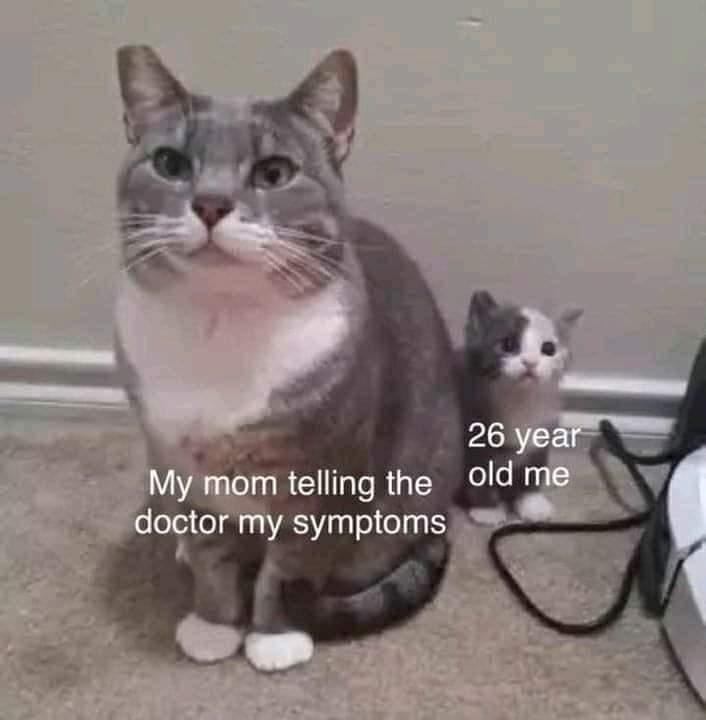 spiritTree03's tweet photo. &amp; y'all want me to act mature 🙀💥
#MEMES https://t.co/79YvkoDsRL