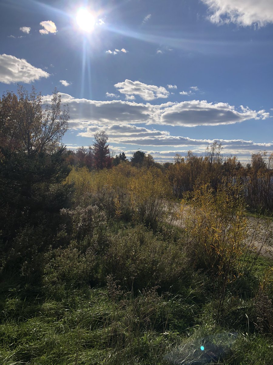 Birrellrocks's tweet photo. The love affair for every season continues. #colsamsmithpark @cityofto https://t.co/LTRAeRLXOI