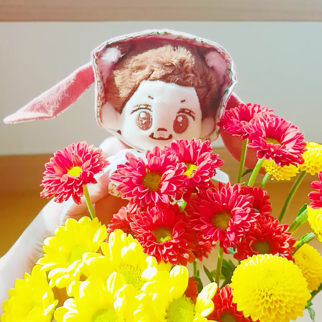 영월(影月)🧸 tweet media