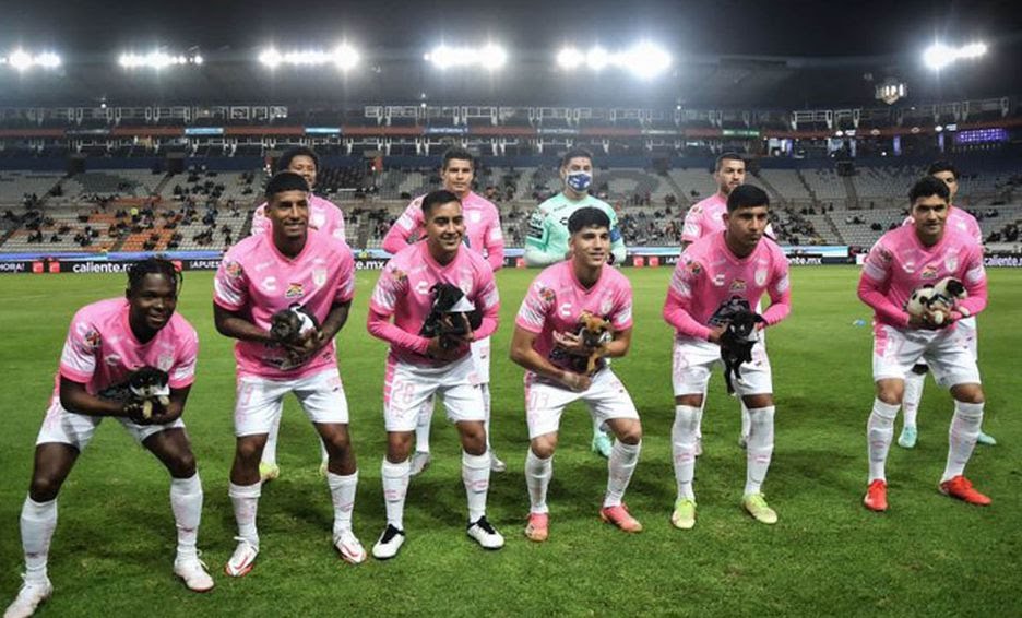 marquezx77's tweet photo. @Tuzos @JahazielMH01 Pachuca qué mal que promuevan la adopción canina y en su estadio los maltraten eso fue el pasado miércoles contra San Luis https://t.co/dsyfrRlb0I