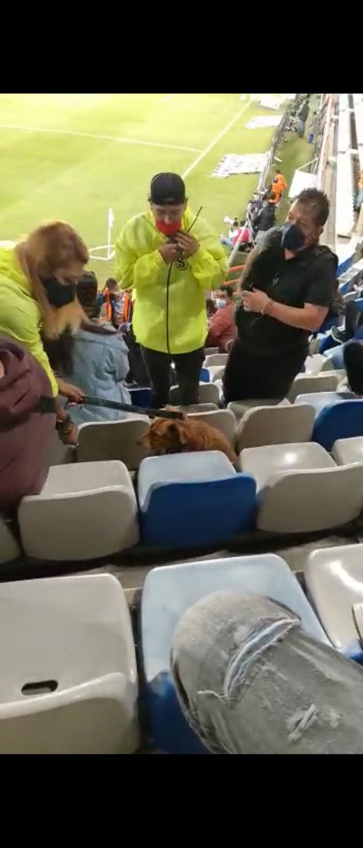 marquezx77's tweet photo. @Tuzos @JahazielMH01 Pachuca qué mal que promuevan la adopción canina y en su estadio los maltraten eso fue el pasado miércoles contra San Luis https://t.co/dsyfrRlb0I