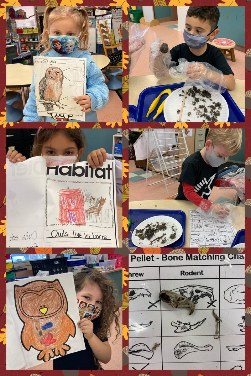 JadeUrenda's tweet photo. We had a hoot this week learning about owls! 🦉🔍

@jseroadrunners https://t.co/bzAxIx6dsX