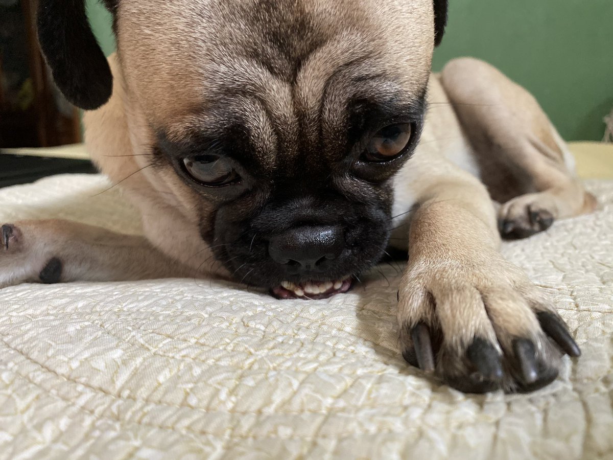 Bangun tidur, tidur lagi