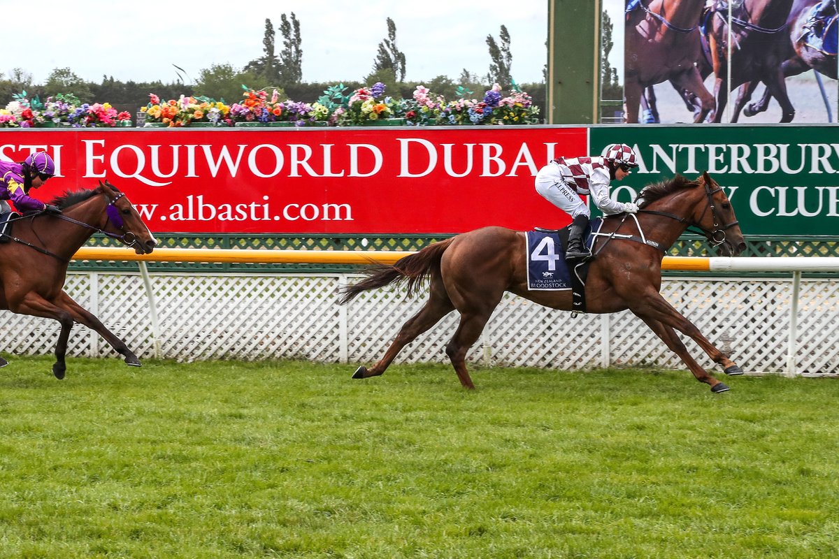 #BabylonBerlin returned to raceday in style on Saturday winning the Listed Donaldson Brown Pegasus Stakes at Riccarton.
racingnews.co.nz/babylon-berlin…