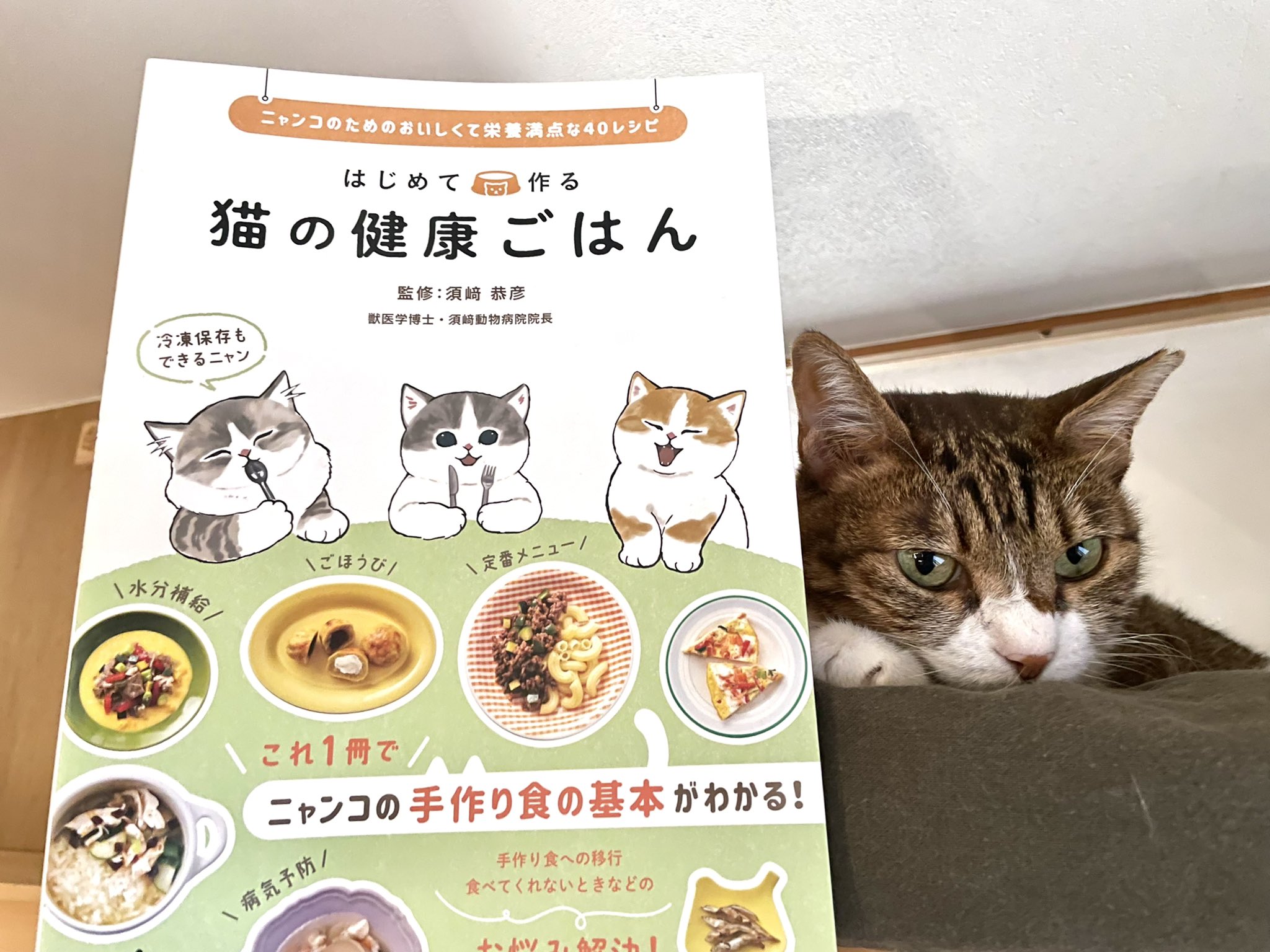 キャッツミャウブックス はじめて作る 猫の健康ごはん マイナビ出版 は 他の猫ごはんのレシピ本と比べて大判で 文字も少し大きめなので 小さな字が読みづらいオトナの目のニンゲンにも優しいつくりです いつまでもこの天気が続いて欲しい土曜日 キャッツミャウブックス はじめて作る 猫の健康ごはん マイナビ出版 は 他の猫ごはんのレシピ本と比べて大判で 文字も少し大きめなので 小さな字が読みづらいオトナの目のニンゲンにも優しいつくりです いつまでもこの天気が続いて欲しい土曜日