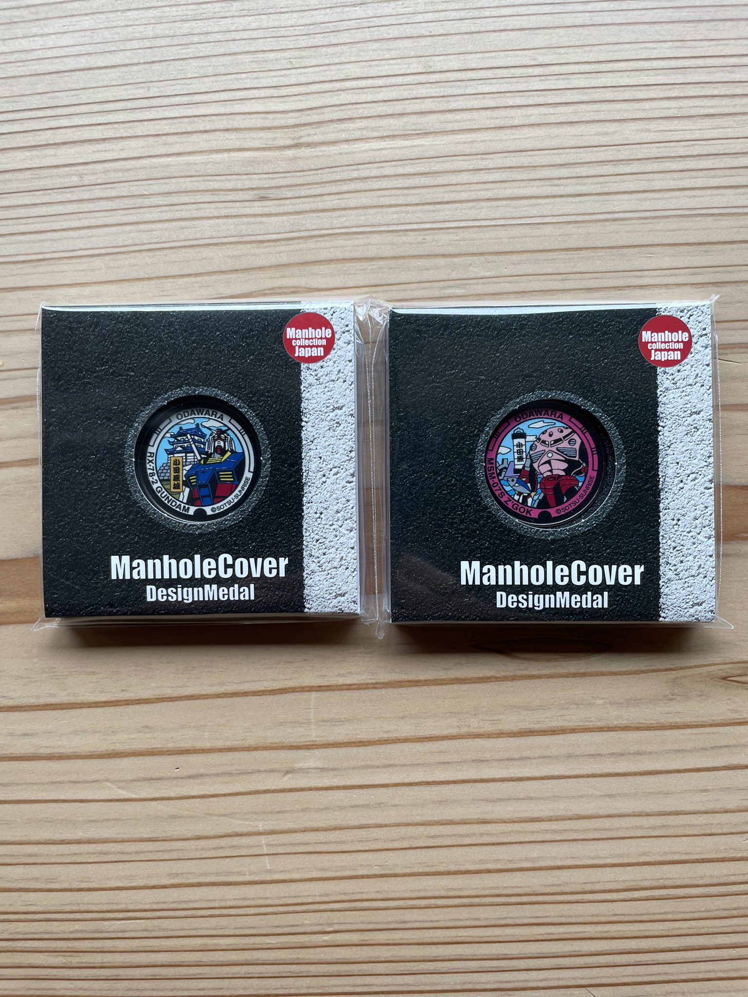 RX-78-2 GUNDAM マンホール メダル 岩手県平泉町にあるガンダム