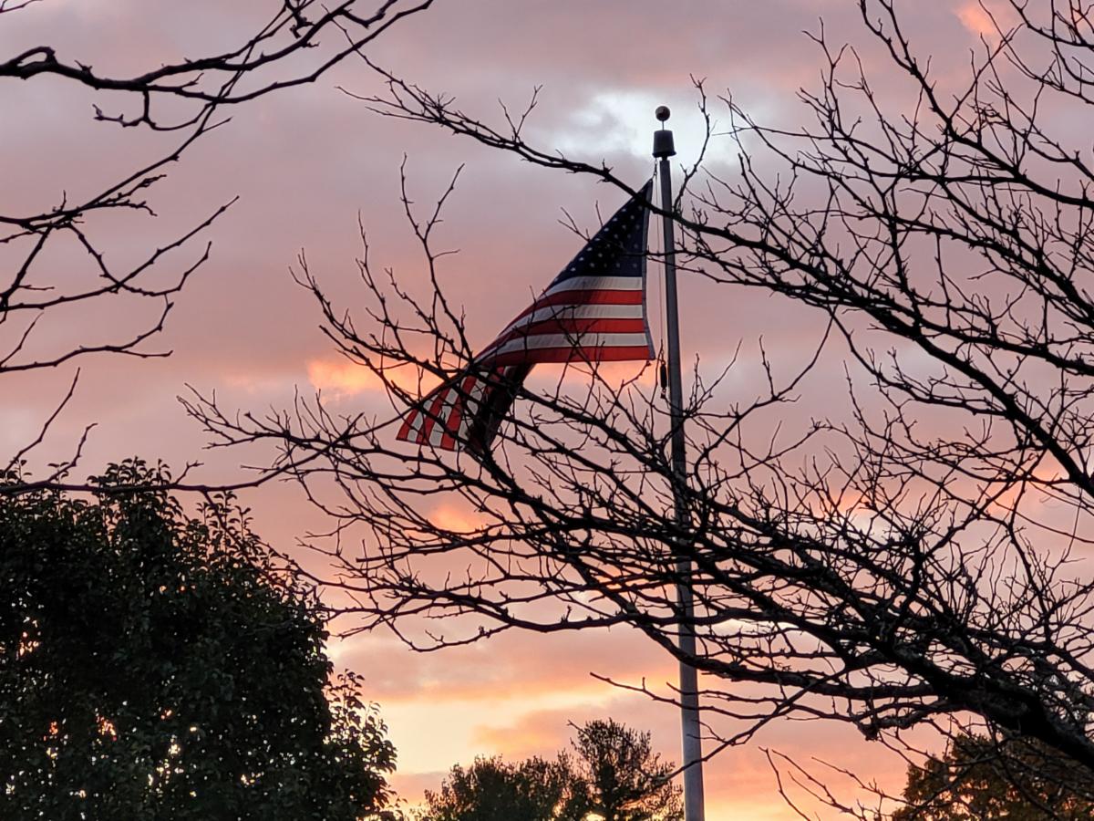 PJsPeace's tweet photo. Helping as We Can
(Reflection &amp; Prayer - November 5) #VeteransDay2021
https://t.co/IpIjFuZDmz https://t.co/Edp1Zzcn2x
