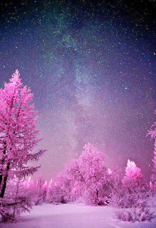DanielC55186873's tweet photo. Where pale pink trees
cast their charms
on falling #snowflakes,

the sun catcher
chases a mist
along the curve 
of a ruby landscape,

the light mandolin
notes float up to me
on the moonlit terrace,

I have held you,
even if only for a moment,
and did not know.

#vss365 https://t.co/mFttt6SgK2