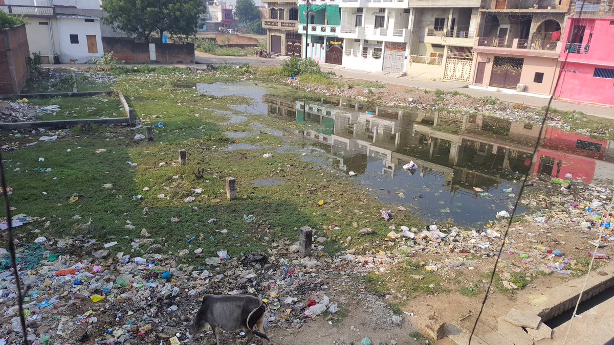 patel_umesh01's tweet photo. @collchhatarpur डेंगू रोकने के लिए नगर पालिका छतरपुर दावे खोखले नजर आते है। ना दवाई का छिड़काव हुआ कभी ना ही सफाई हुए।
ये है स्वच्छ शहर। https://t.co/U8x7EPUqQF