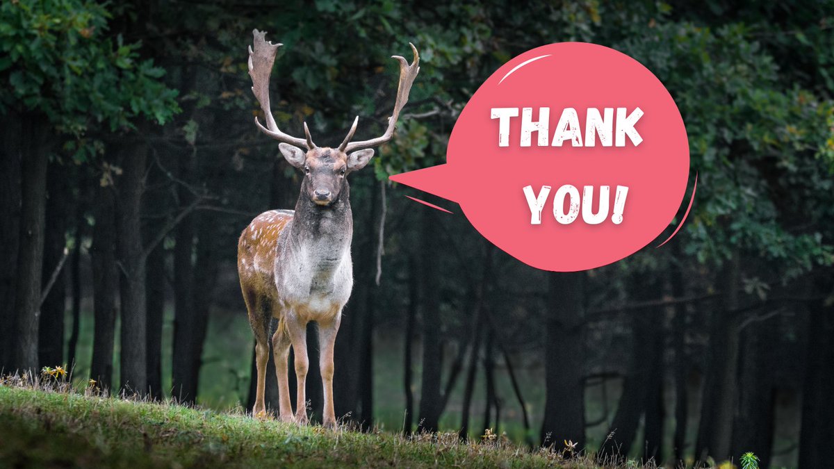 EnvironmentME's tweet photo. Congress has taken action to protect our animals and #ReconnectNature with funding in the #BIF dedicated to wildlife corridors. A BIG thank you to all our wildlife champs! #MoreNature https://t.co/7fAMxDtiUn