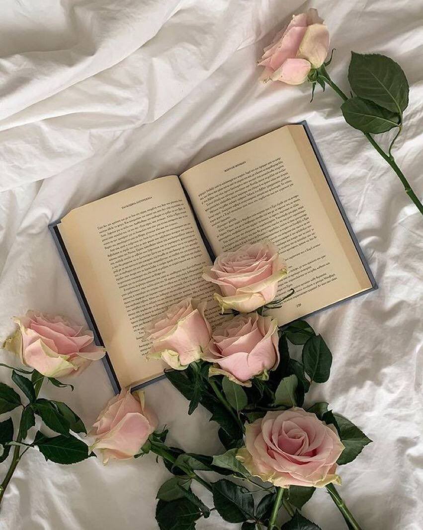 "أشـباهِك الأربَعين لَيسـوا بالضرورة مِنْ البَشـر ربمَا قصَائِدْ ، نصُوصْ ، إقتباسَاتْ ، أَو أبْطَال فِي روَاياتٍ...🖤