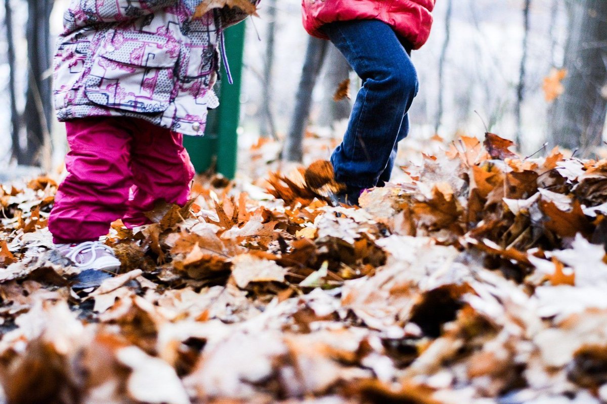 thrivecharity's tweet photo. Ever tried an autumn treasure hunt? It's as fun as it sounds! Read our guide: https://t.co/hFULhY3WA6 😊🍂

Use of real treasure is optional*

#autumnwellbeing #StressAwarenessDay https://t.co/Nr9rKy26T0