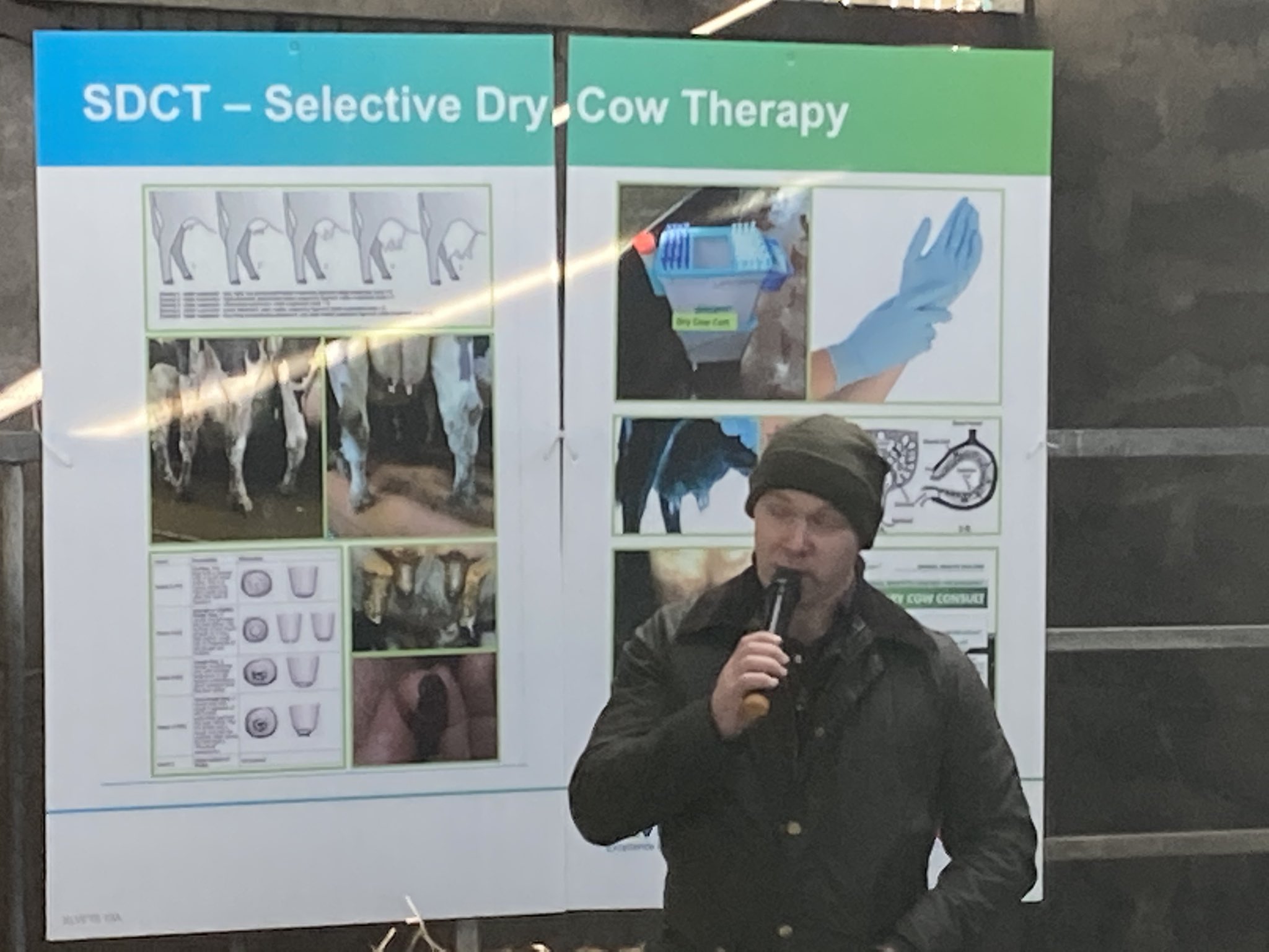 Seán Callan (CallansCows) / Twitter