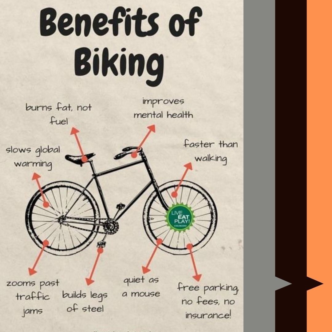 HandifeT's tweet photo. “I can't imagine how beneficial it is ...”
LOL, let’s go for a ride!
#toolsinuse #bike #bikelife #biketools #tools #toolboxwars #mechanic #gravelbike #mountainbikemagazin #mountainbike #roadcycling #roadbike #bikemechanics https://t.co/e0aBtEuRAt