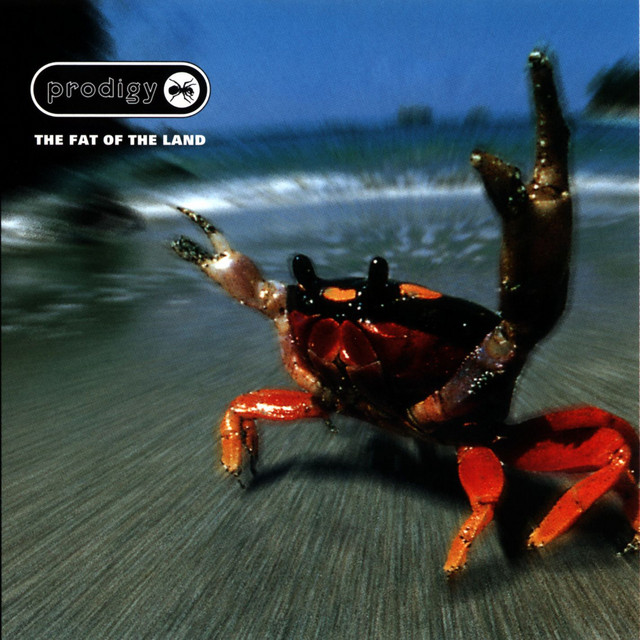 maler môser tweet media