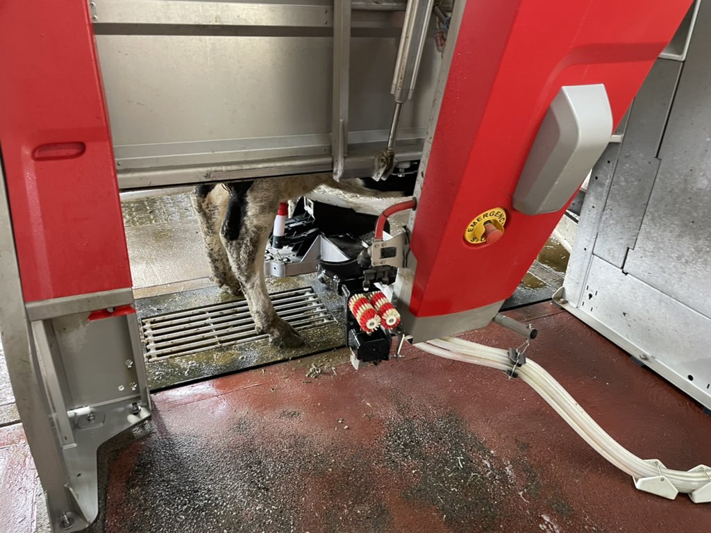 JackOConnor_'s tweet photo. crowd in how technology can further improve their production system from a labour and animal welfare point of view.
Local vet Patrick Clerkin gave some really simple practical advice to farmers ahead of drying off cows and tips for those considering #SDCT https://t.co/w41fA2GkHi