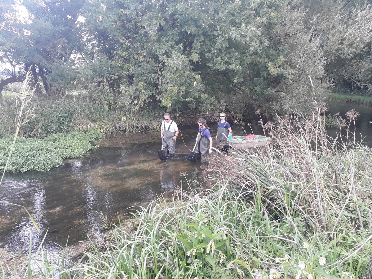An exciting opportunity for a highly motivated and experienced statistician and data modeller with a track record of publishing data-rich work to join the GWCT’s Fisheries team. The Closing date is Fri 12 Nov. Apply here: gwct.org.uk/about/careers/…