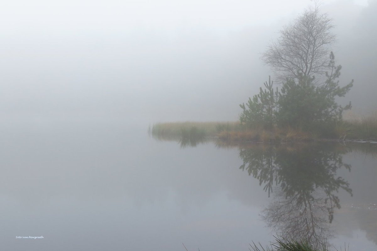 Margreeth0_0's tweet photo. Grijs maar wel wat meer wind dan een paar dagen geleden.. Fijn weekend 🙂 #ThePhotoHour #stormhour #NaturePhotography #Autumn #AutumnFalls #herfst #Mensinghebos #TwitterNatureCommunity #windless #naturelovers https://t.co/Runqs6iAy5
