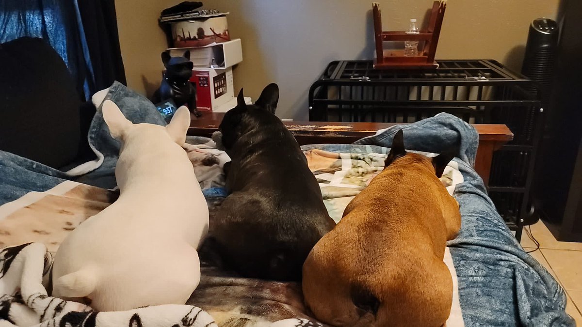 Griz Calderon tweet media