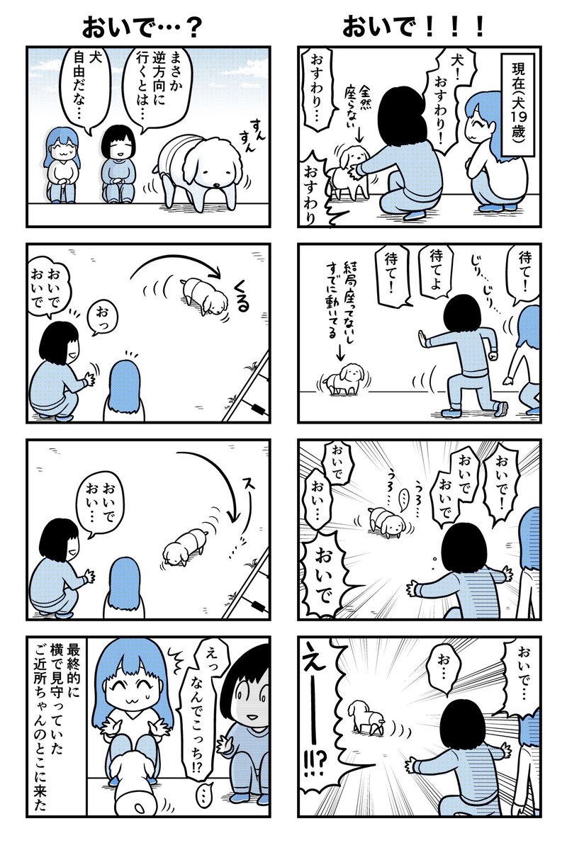 犬!!おいで!!!!
おいで!!!!!!!!!! 