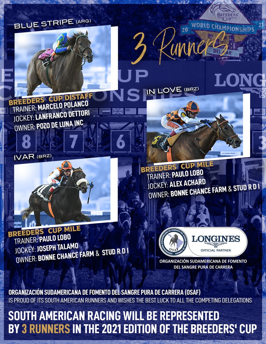 TurfDiario's tweet photo. Sudamérica tendrá hoy 3 representantes en la 38va. edición de la @BreedersCup. Que el mundo se entere. Compartilo con el hashtag #SAChamps @TurfDiario @osafweboficial @ALCHI2008 @HipismoNet @BreedersCup @BonneChanceFarm @BCRacingguy https://t.co/2nmomDAolv