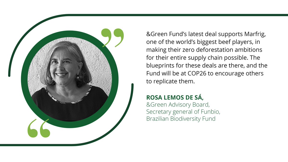 AndgreenF's tweet photo. @AndgreenF 's investment enables @marfrig_mrfg3  to achieve a sustainable and deforestation-free beef supply chain by 2030. The fund encourages other investors to follow, says Mrs. Rosa Lemos de Sá, advisory board member of &amp;Green. Visit our website to know more! #COP26 https://t.co/6EkJBqhoYg